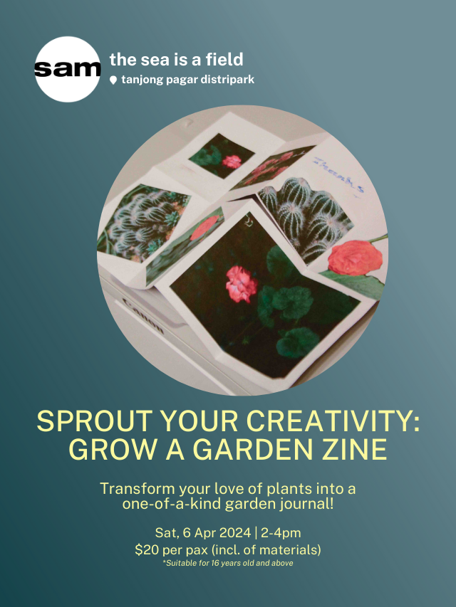 Sprout Your Creativity: Grow a Garden Zine