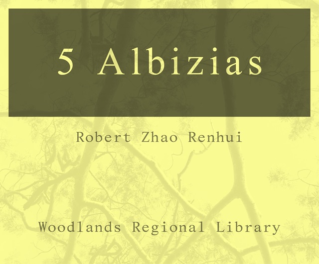 5 Albizias