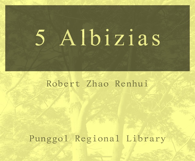 5 Albizias