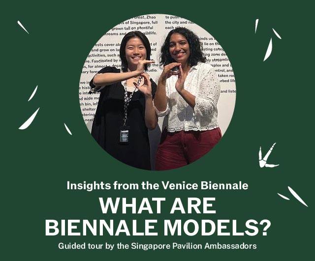 Insights from the Venice Biennale: Visitor Experiences