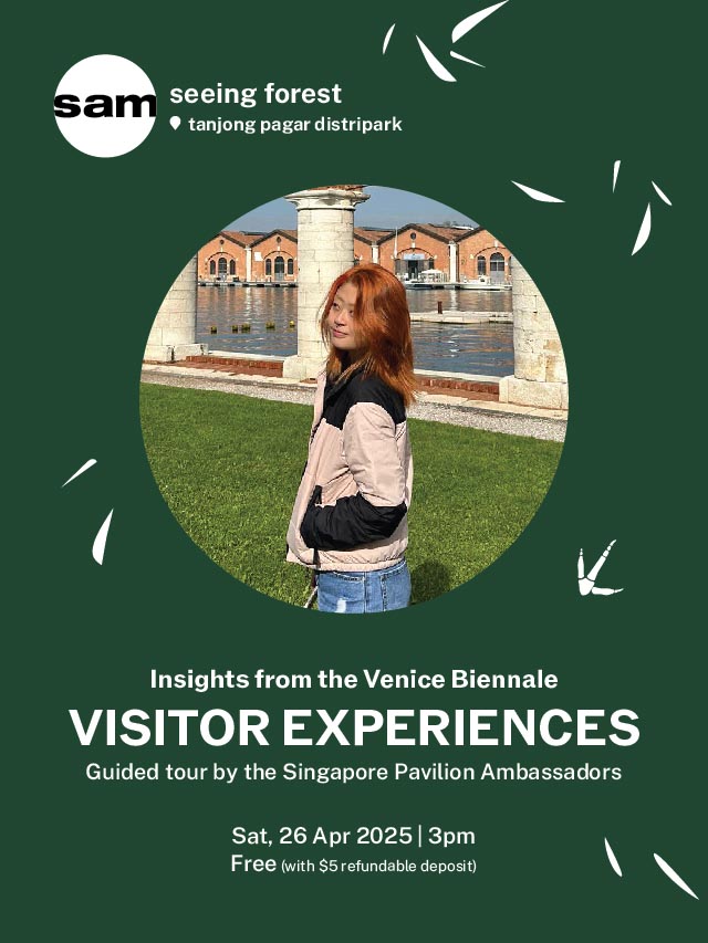 Insights from the Venice Biennale: Visitor Experiences