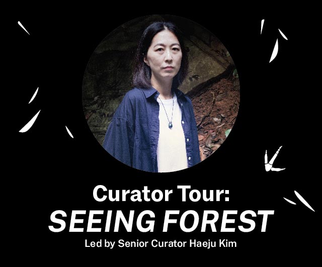 Curator Tour: Seeing Forest 