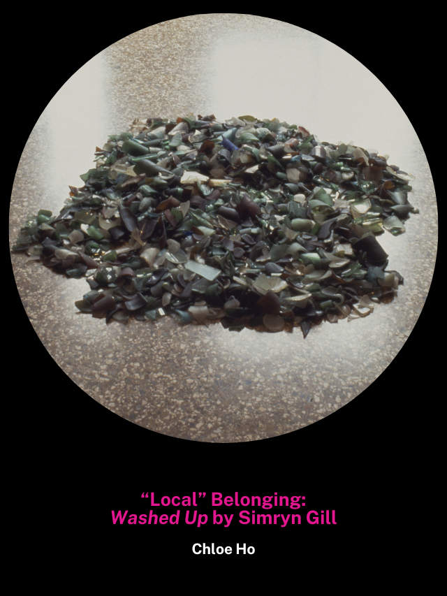 “Local” belonging: Washed Up by Simryn Gill